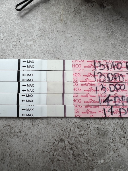 Success stories after faint positive tests at 13 to 14 DPO?