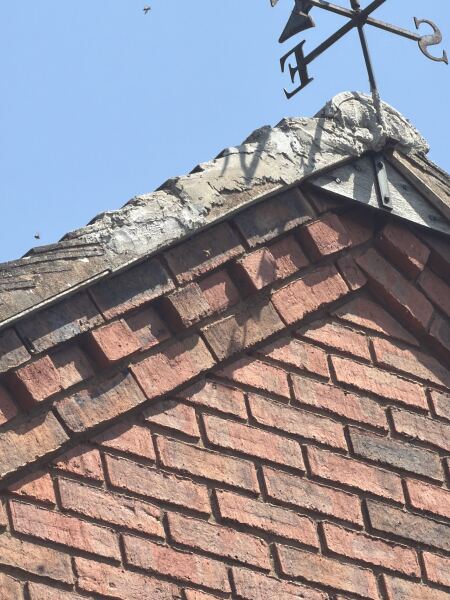 £1000 paid to remove bees from roof 2 weeks ago. We now have bees again.