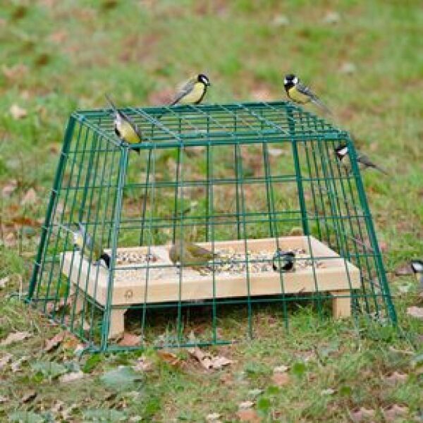 England house in residential area- what can I use to deter birds like pigeons and magpies from garden?