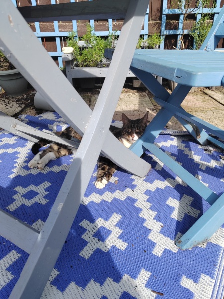 What would you do/add to this outside space?