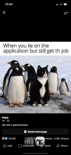 Didn’t get the job. I know the person who did. Help me get over the disappointment.
