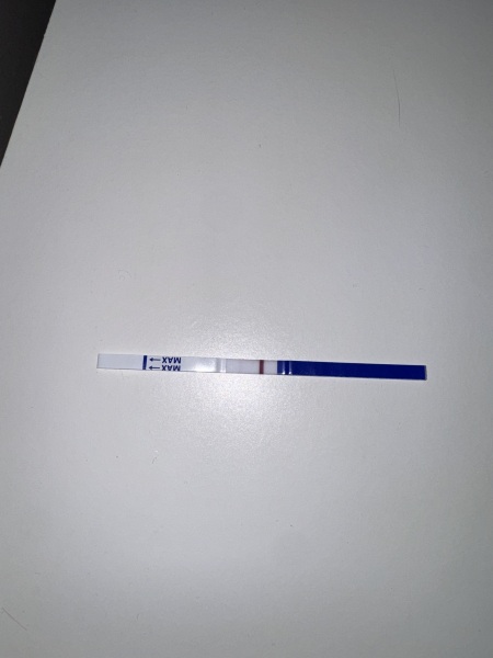 False negatives with cheapy one-step pregnancy tests?
