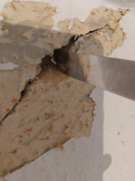 Crack above internal door reaching ceiling, should I be worried?