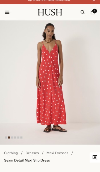 Anyone seen any nice maxi dresses around ?