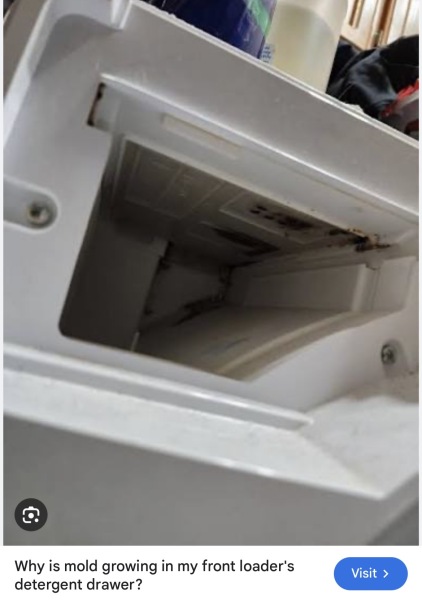 How can I properly clean mould from a detergent drawer?