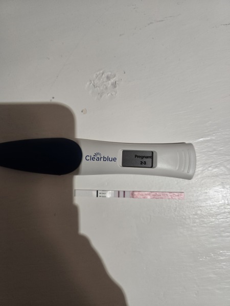 February 2027 Rainbow Babies 🌈 Pregnancy After Loss