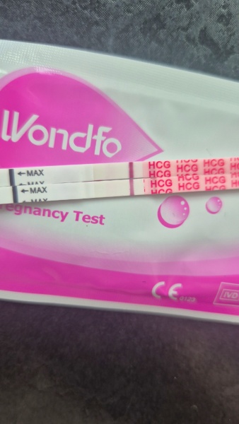 Faint lines on Wondfo but negative Clearblue, could this be pregnancy?
