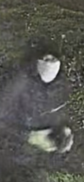 Windows smashed for the second time & police can’t do anything despite cctv footage