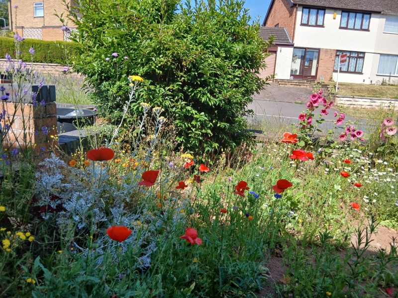 We've just had a plastic lawn put in. AMA