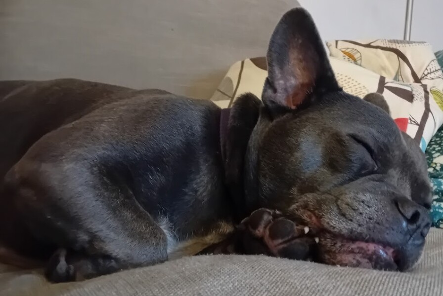 The support thread for those trying to lead an alcohol free life - Summer 2026