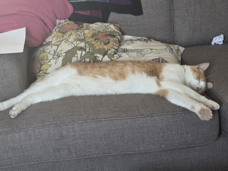 My cat is melting and running down the arm of the sofa.