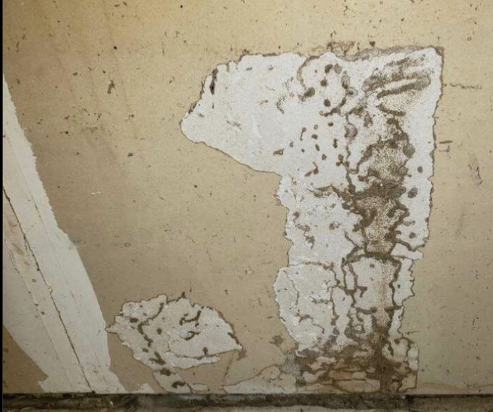 Crack above internal door reaching ceiling, should I be worried?