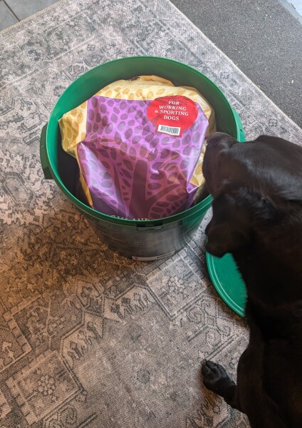 Keeping big bags kibble fresh