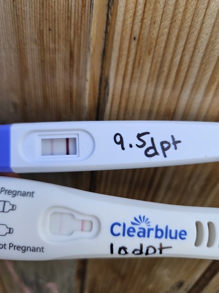Faint positive after embryo transfer, then lighter test this morning