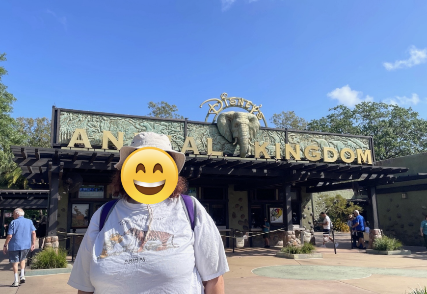 To not “get” Disneyland