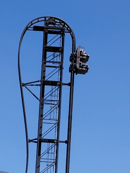To think going to Thorpe Park this Wednesday is madness?