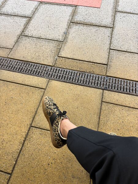 Leopard print shoes - AIBU?!