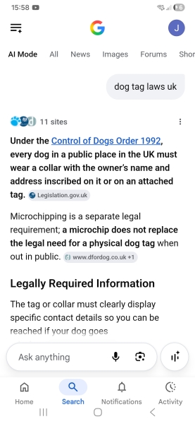 AIBU to wonder why so many dogs are found without tags