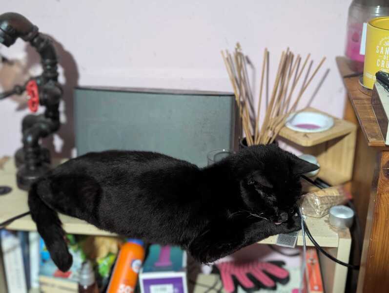 Get A Compass! The Excellent Cats embrace a new rallying cry