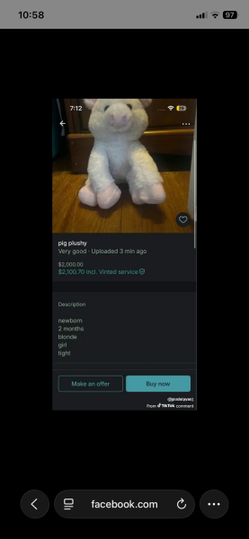 Concerns raised over Vinted adverts and possible child sale listings