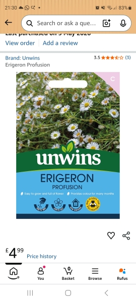 Fleabane plant, Help!!!