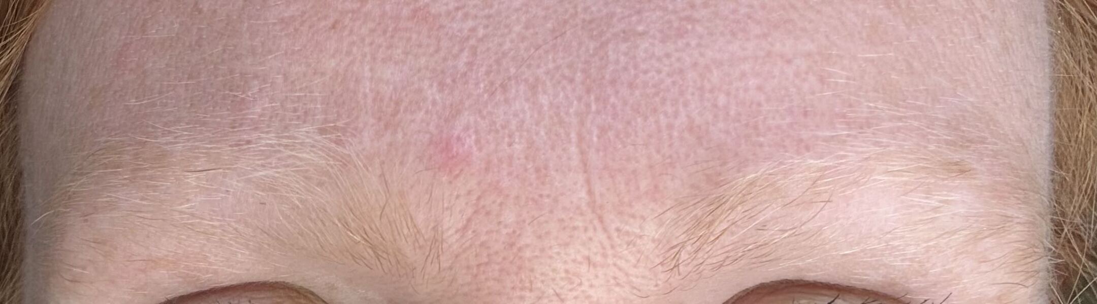 Eyebrow help!!!
