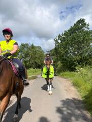 What are your 2026 Horsey Plans?