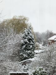 What have you done in the garden today? Part 9