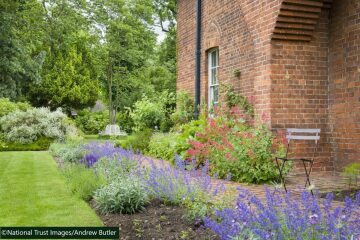 Comments on my driveway design and planting layout for the front garden