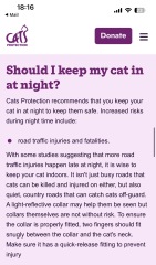 AIBU to feel too anxious about my cat being late home?