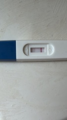 Confused by mixed pregnancy test results