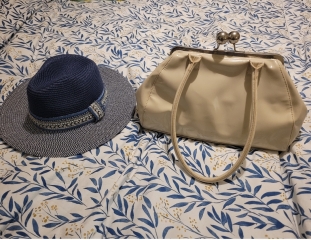 Bag for wedding help please