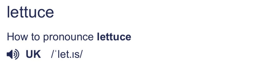 Lettice/Letitia/Leticia