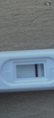 Faint line on test but negative digital on period day