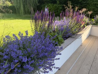 Any ideas for my garden