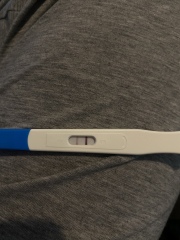Pregnancy test