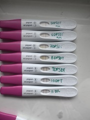 Worried about test line progression after embryo transfer