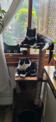 Cancer Support Thread 98: support for those diagnosed and going through treatment