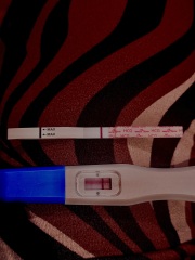 Are these tests positive? Line eyes!