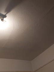 Bumps in lath and plaster ceiling