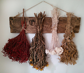 Cleaning Artificial Plants and Dried Flowers