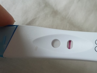 4 months postpartum - not entirely sure if pregnant again (see photo)