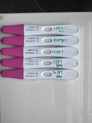 Worried about test line progression after embryo transfer