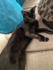 Foster Mum!