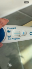 Pregnancy test result, positive or not?