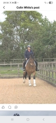 What are your 2026 Horsey Plans?