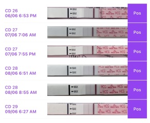Easy at home line progression