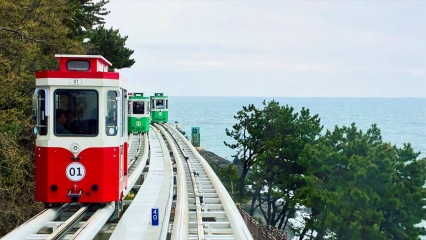 Family holiday to Korea