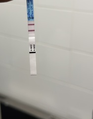 Can this be actual potential  ovulation for first time in 5 years? Positive OPK or pcos playing games