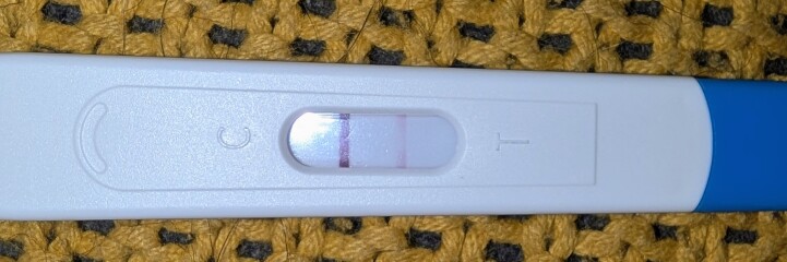 Freedom pregnancy test - real or false positive?